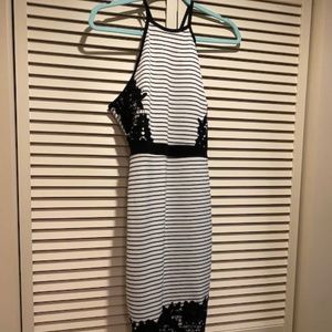 Papaya BodyCon Dress